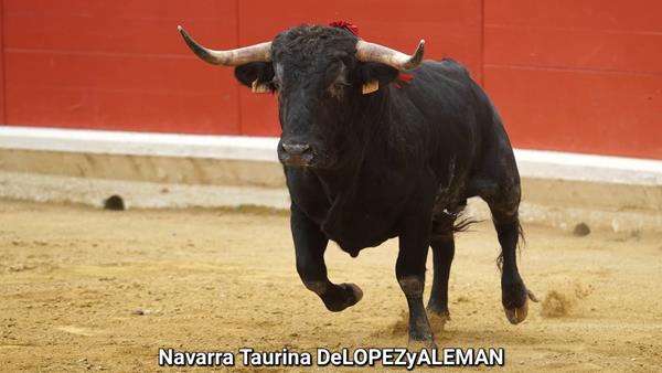 "Campanito" de Hnas. Azcona