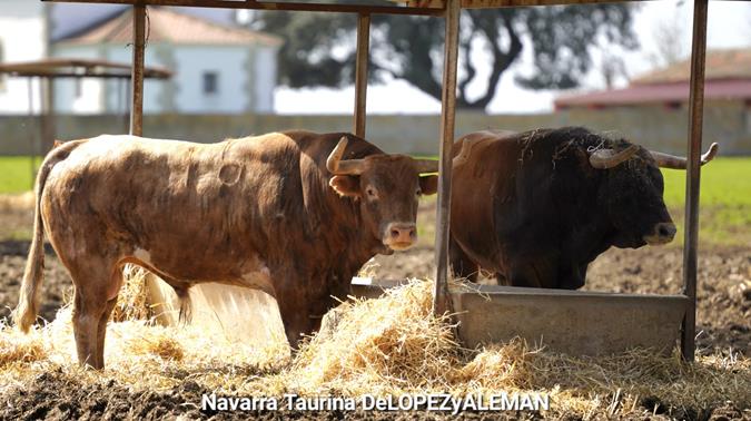 Hermanos Garc&iacute;a Jim&eacute;nez