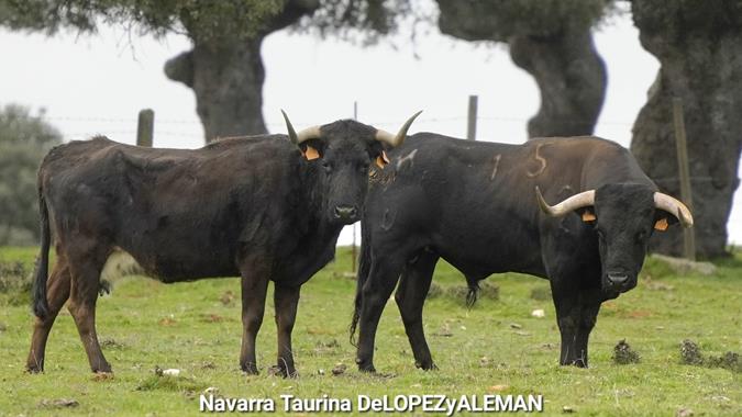 Juan Luis Fraile - Mar&iacute;a Casc&oacute;n