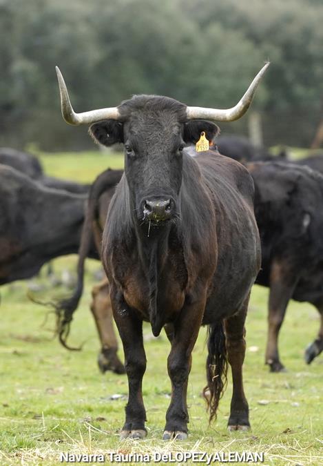 Juan Luis Fraile - Mar&iacute;a Casc&oacute;n