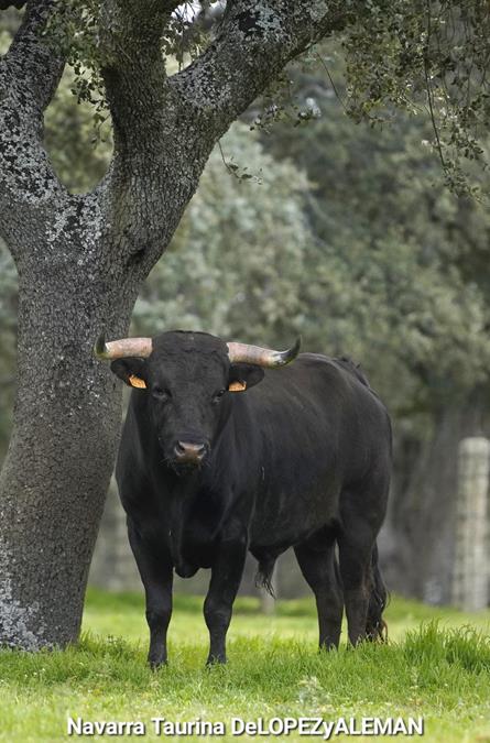 Juan Luis Fraile - Mar&iacute;a Casc&oacute;n