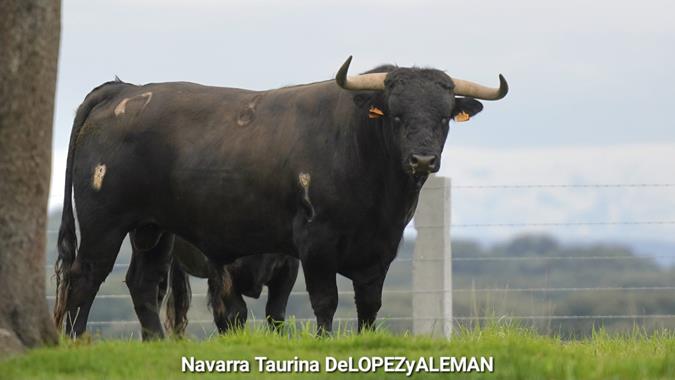 Juan Luis Fraile - Mar&iacute;a Casc&oacute;n