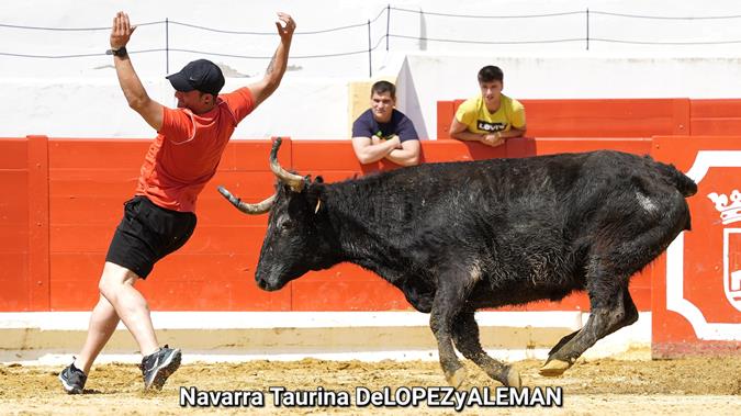 Suelta de vaquillas