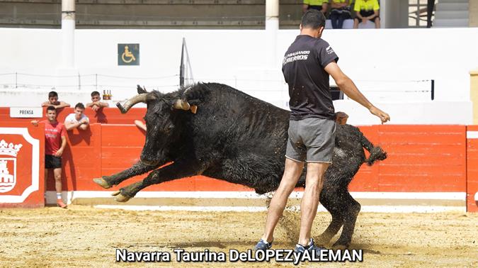 Suelta de vaquillas