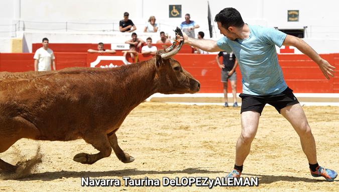 Suelta de vaquillas