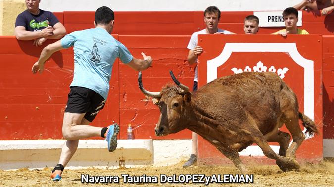 Suelta de vaquillas