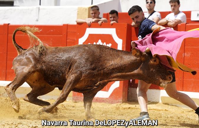 Suelta de vaquillas