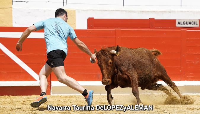 Suelta de vaquillas
