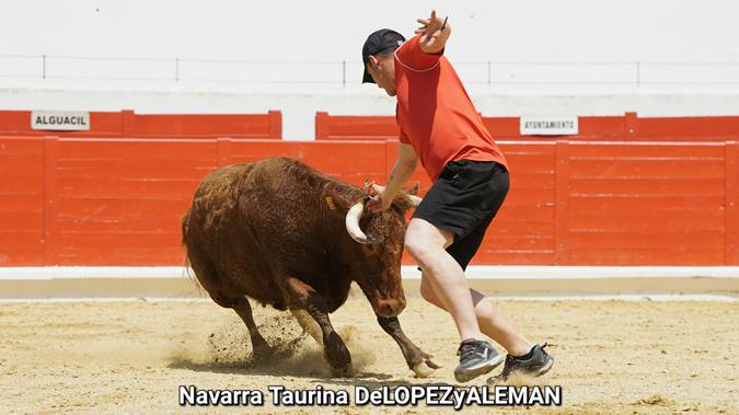 Suelta de vaquillas