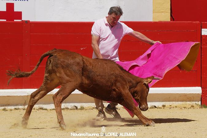 Suelta de vaquillas