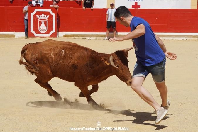 Suelta de vaquillas