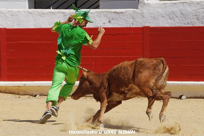 Suelta de vaquillas