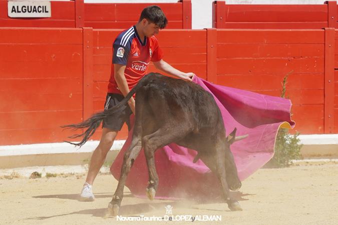 Suelta de vaquillas