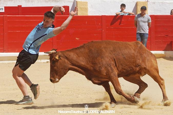 Suelta de vaquillas
